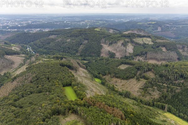 Aerial view, forest damage at Rafflenbeuler Kopf at the village Zurstraße in the district Eilpe in Hagen, Ruhr area, North Rhine-Westphalia, Germany, tree dieback, bark beetle damage, bark beetle plague, DE, Europe, spruce dieback, Hagen, hilly landscape, clear-cutting, aerial view, aerial photography, aerial photography, overview, bird's eye view, forest, forest area, forest damage, forest dieback, birds-eyes view, overview