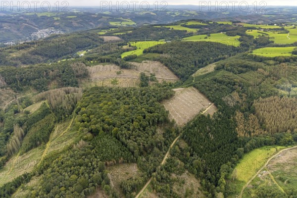 Aerial view, forest damage at Rafflenbeuler Kopf at the village Zurstraße in the district Eilpe in Hagen, Ruhr area, North Rhine-Westphalia, Germany, tree dieback, bark beetle damage, bark beetle plague, Breckerfeld, DE, Europe, spruce dieback, Hagen, hilly landscape, clear-cutting, aerial view, aerial photography, aerial photography, overview, bird's eye view, forest, forest area, forest damage, forest dieback, birds-eyes view, overview