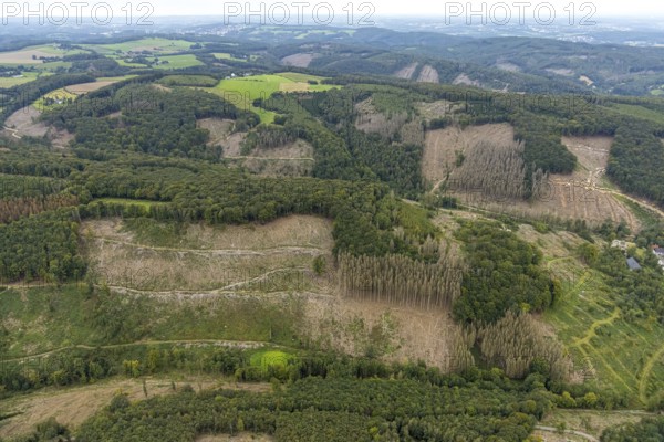 Aerial view, forest damage at Rafflenbeuler Kopf at the village Zurstraße in the district Eilpe in Hagen, Ruhr area, North Rhine-Westphalia, Germany, tree dieback, bark beetle damage, bark beetle plague, DE, Europe, spruce dieback, Hagen, hilly landscape, clear-cutting, aerial view, aerial photography, aerial photography, overview, bird's eye view, forest, forest area, forest damage, forest dieback, birds-eyes view, overview