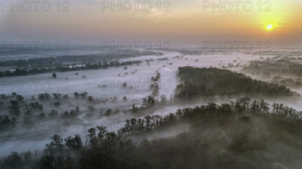 Spring fog, Germany from above, aerial view, floodplain landscape, meander, meandering river, sunrise, morning mood, cold air, river meander, Saxony-Anhalt, Germany