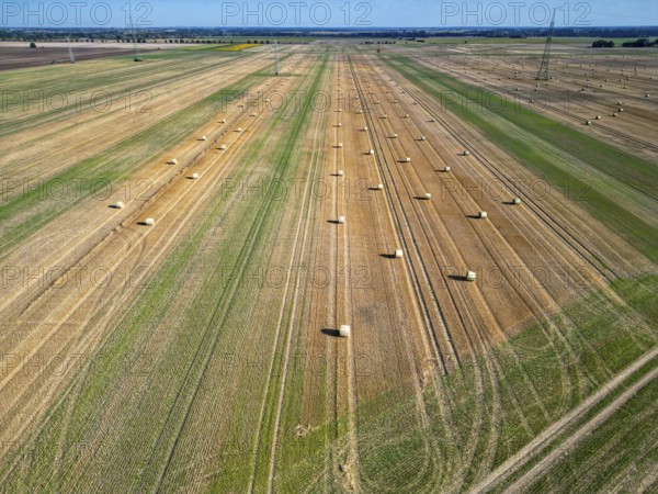 Farmland after harvest, hay bales, straw bales temporarily stored on field, baler, agriculture, harvest. Field landscape, field work, farmers, Saxony-Anhalt, Germany