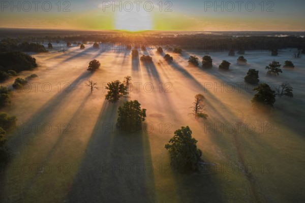 Spring fog, Germany from above, aerial view, floodplain landscape, meander, sunrise, morning mood, cold air, solitary oak trees, shadow play, Saxony-Anhalt, Germany