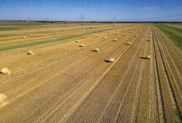 DefaultArable land after harvest, hay bales, straw bales temporarily stored on field, baler, agriculture, harvest. Field landscape, field work, farmers, Saxony-Anhalt, Germany