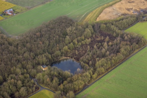 Aerial view forest area Sandbochumer Heide near Kerstheider Straße in Hamm, Ruhr area, North Rhine-Westphalia, Germany, fallow land, DE, Europe, Hamm, aerial view, aerial photograph, aerial photography, aerial photography, Rhine-Ruhr metropolitan region, lake, pond, overview, bird's-eye view, forest area, birds-eyes view, overview