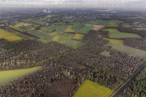 Aerial view forest area Sandbochumer Heide near Kerstheider Straße in Hamm, Ruhr area, North Rhine-Westphalia, Germany, fallow land, DE, Europe, Hamm, aerial view, aerial photograph, aerial photography, aerial photography, Rhine-Ruhr metropolitan region, lake, pond, overview, bird's-eye view, forest area, birds-eyes view, overview