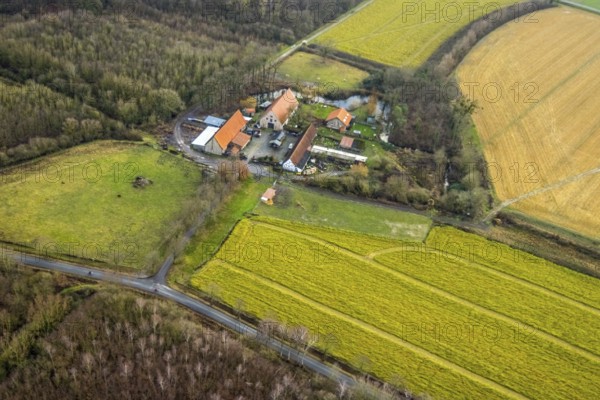 Aerial view Brauhof Wilshaus in Hamm, Ruhr area, North Rhine-Westphalia, Germany, excursion destination, Baumstraße, DE, Europe, half-timbered houses, Hamm, aerial view, aerial photograph, aerial photography, aerial photography, Rhine-Ruhr metropolitan region, overview, bird's eye view, birds-eyes view, overview