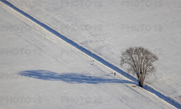 Aerial view, snow-covered fields, winter, single trees cast shadows in the snow, Uentrop, Hamm, Soester Börde, North Rhine-Westphalia, Germany, Soester, Börde, DE, Europe, birds-eyes, view, aerial photography, aerial photography, aerial photography, overview, overview, bird's eye view, snow