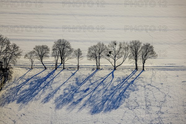 Aerial view, snow-covered field with row of trees, tracks in the snow, winter, Uentrop, Hamm, Ruhr area, North Rhine-Westphalia, Germany, DE, Europe, aerial view, aerial photography, aerial photography, snow, overview, bird's-eye view, birds-eyes, view, overview