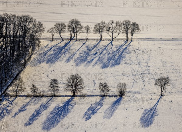 Aerial view, snow-covered field with row of trees, tracks in the snow, winter, Uentrop, Hamm, Ruhr area, North Rhine-Westphalia, Germany, DE, Europe, aerial view, aerial photography, aerial photography, snow, overview, bird's-eye view, birds-eyes, view, overview