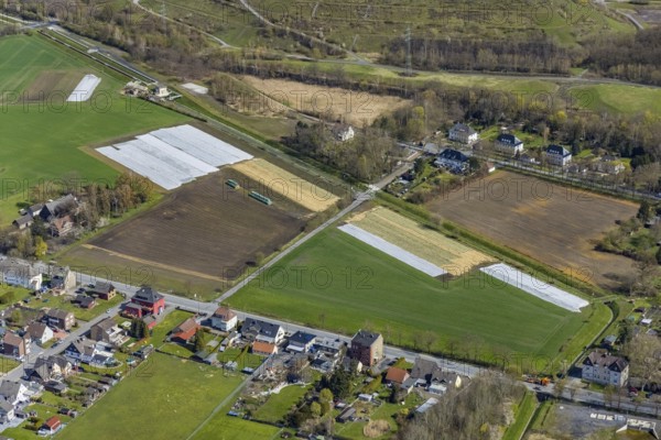 Aerial view, agricultural area Hoppeistraße, asparagus cultivation, Herringen, Hamm, Ruhr area, North Rhine-Westphalia, Germany, DE, Europe, agriculture, agricultural fields, aerial view, aerial photography, aerial photography, asparagus field, overview, bird's-eye view, overview