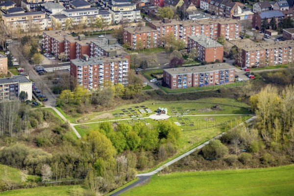Aerial view, urban gardening in the Kornmersch, Rheinsberger Platz with high-rise housing estate, Bockum-Hövel, Hamm, Ruhr area, North Rhine-Westphalia, Germany, flower field, DE, Europe, community garden, aerial view, aerial photography, aerial photography, overview, urban garden, urban gardening, bird's eye view, living and living, residential area, housing estate, birds-eyes view, overview, sowing, cultivating and harvesting in your own bed