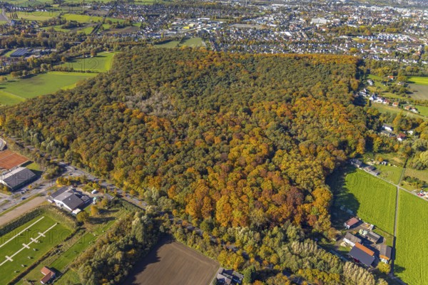 Aerial view, autumn forest at the Dr.-Loeb-Caldenhof-Straße in the district Rhynern in Hamm, Ruhr area, North Rhine-Westphalia, Germany, DE, Europe, Hamm, autumn colours, aerial view, aerial photography, aerial photography, mixed forest, overview, bird's eye view, forest, birds-eyes view, autumn forest, overview