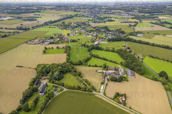 Aerial view, meadows and fields in Osttünnen in the district Rhynern in Hamm, Ruhr area, North Rhine-Westphalia, Germany, DE, Europe, Hamm, aerial view, aerial photography, aerial photography, overview, bird's eye view, living and life, birds-eyes view, overview