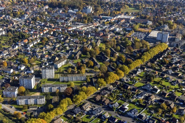Aerial view, high-rise residential estate between Rautenstrauchstraße and Marinestraße in the district Bockum-Hövel in Hamm, Ruhr area, North Rhine-Westphalia, Germany, education, educational institution, DE, Europe, property tax, Hamm, high-rise buildings, real estate, educational institute, aerial view, aerial photography, aerial photography, apartment buildings, school, overview, bird's eye view, residential complex, living and living, residential area, residential buildings, residential quality, residential neighbourhood, housing estate, birds-eyes view, overview
