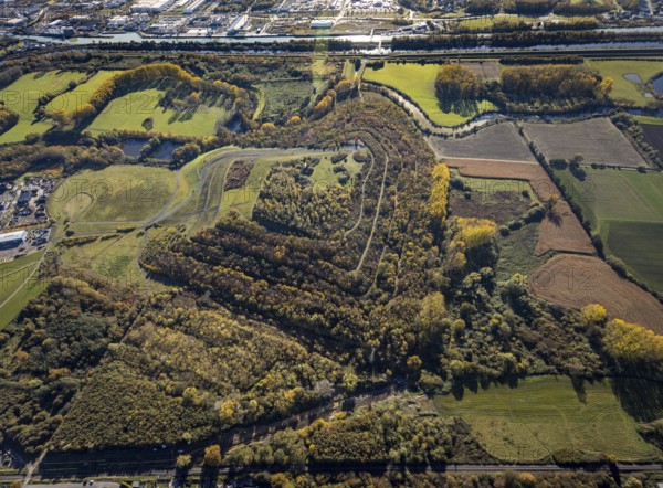 Aerial view, Radbod spoil tip with Radbod spoil tip sign and Alte Lippe in the Bockum-Hövel district of Hamm, Ruhr area, North Rhine-Westphalia, Germany, Alter Lippearm, DE, Europe, spoil tip, Hamm, landmark, aerial view, aerial photography, aerial photography, Alte Lippe nature reserve, overview, bird's-eye view, forest, birds-eyes view, overview
