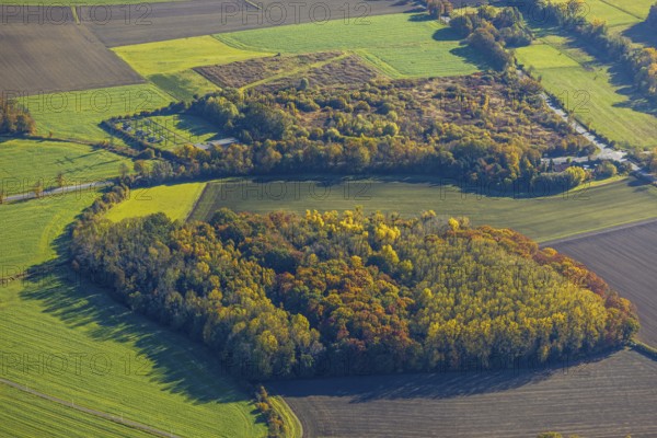 Aerial view, forest and small transformer station with hill Martinstraße in the district Pelkum in Hamm, Ruhr area, North Rhine-Westphalia, Germany, DE, Europe, Hamm, aerial view, aerial photography, aerial photography, overview, transformer station, bird's eye view, forest, birds-eyes view, overview