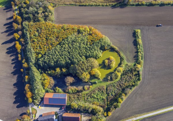 Aerial view, Small forest with pond at Neuer Weg behind the house Reck in the district Pelkum in Hamm, Ruhr area, North Rhine-Westphalia, Germany, DE, harvesting, Europe, Hamm, aerial view, aerial photography, aerial photography, tractor, overview, bird's eye view, birds-eyes view, overview
