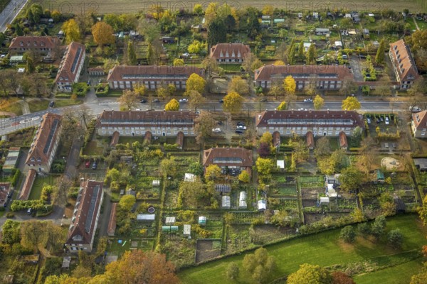 Aerial view, housing estates of the Sachsen colliery on Vogelsang street in the Heessen district of Hamm, Ruhr area, North Rhine-Westphalia, Germany, DE, Europe, property tax, Hamm, real estate, aerial view, aerial photography, aerial photography, overview, bird's-eye view, housing estate, housing and living, residential area, residential buildings, housing quality, residential neighbourhood, housing estate, colliery houses, colliery housing estate, birds-eyes view, overview