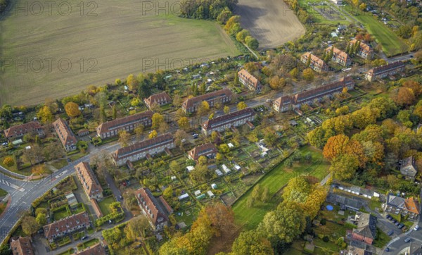 Aerial view, housing estates of the Sachsen colliery on Vogelsang street in the Heessen district of Hamm, Ruhr area, North Rhine-Westphalia, Germany, DE, Europe, property tax, Hamm, real estate, aerial view, aerial photography, aerial photography, overview, bird's-eye view, housing estate, housing and living, residential area, residential buildings, housing quality, residential neighbourhood, housing estate, colliery houses, colliery housing estate, birds-eyes view, overview