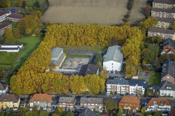 Aerial view, Martin-Luther-Schule in the district Heessen in Hamm, Ruhr area, North Rhine-Westphalia, Germany, education, educational institution, DE, Europe, Hamm, secondary school, educational institute, aerial view, aerial photography, aerial photography, school, overview, bird's eye view, birds-eyes view, overview