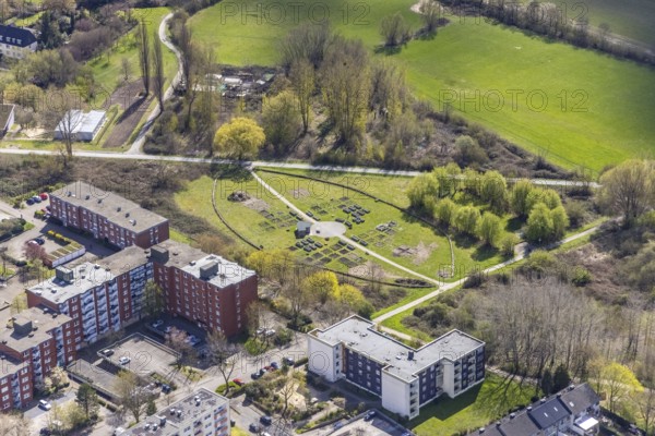 Aerial view, urban gardening in the Kornmersch, Bockum-Hövel, Hamm, Ruhr area, North Rhine-Westphalia, Germany, flower field, DE, Europe, community garden, aerial view, aerial photography, aerial photography, overview, urban garden, urban gardening, bird's eye view, living and life, residential area, housing estate, birds-eyes view, overview, sowing, tending and harvesting in your own bed