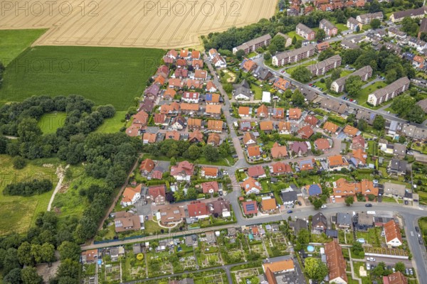 Aerial view, residential area west of the alleyway Ontariogrund, Bockum-Hövel, Hamm, Ruhr area, North Rhine-Westphalia, Germany, DE, Europe, Falkenstraße, property tax, Gülderlinggasse, real estate, aerial view, aerial photography, aerial photography, Sternrenettenweg, overview, bird's eye view, residential area, housing and living, residential area, residential buildings, residential quality, residential neighbourhood, housing estate, birds-eyes view, overview