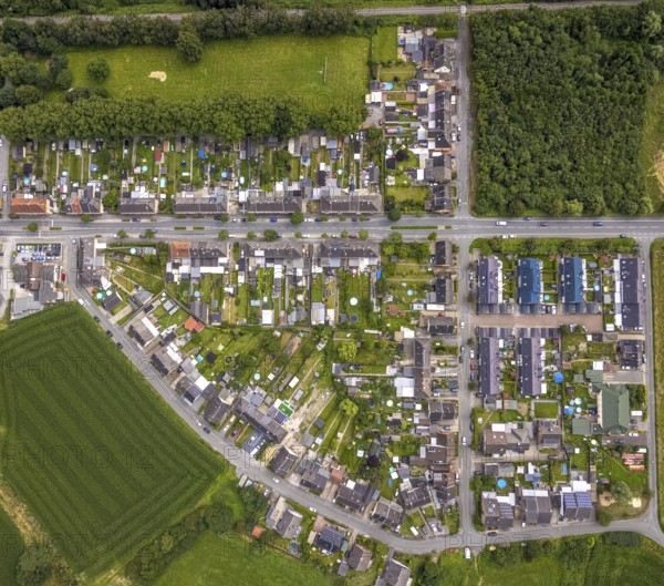 Aerial view, workers' housing estate Wittekindstraße, Wittekindsiedlung, Bockum-Hövel, Hamm, Ruhr area, North Rhine-Westphalia, Germany, workers' housing estate, miners' housing estate, DE, Europe, Haberkampstraße, Laakerholzstraße, aerial view, aerial photography, aerial photography, overview, bird's-eye view, overview