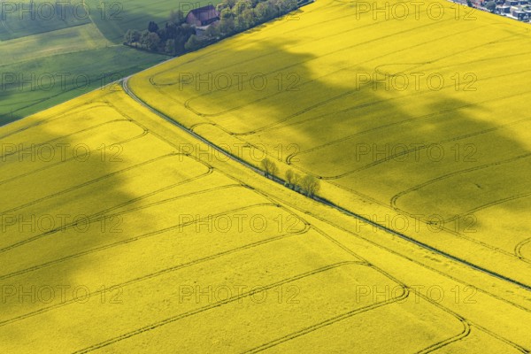 Aerial view, rape fields Heidestraße corner Dümgesweg, Leubeck, Heiligenhaus, Ruhr area, North Rhine-Westphalia, Germany, DE, Europe, colour yellow, shapes and colours, aerial view, aerial photography, aerial photography, traces in the landscape, overview, bird's-eye view, meadows and fields, birds-eyes view, overview