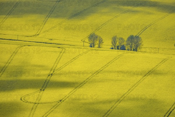 Aerial view, rape fields Heidestraße corner Dümgesweg, Leubeck, Heiligenhaus, Ruhr area, North Rhine-Westphalia, Germany, DE, Europe, colour yellow, shapes and colours, aerial view, aerial photography, aerial photography, traces in the landscape, overview, bird's-eye view, meadows and fields, birds-eyes view, overview