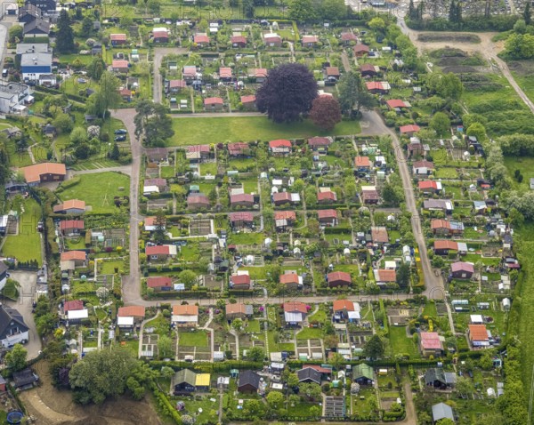 Aerial view, allotment garden association Birther Höfe, Asternweg, Hetterscheidt, Heiligenhaus, Ruhr area, North Rhine-Westphalia, Germany, DE, Europe, community garden, KGV, allotment garden, allotment garden site, allotment garden association, aerial view, aerial photography, aerial photography, allotment garden, overview, birds-eyes view, overview, red roofs
