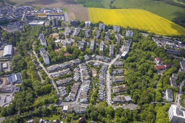 Aerial view, residential area and high-rise buildings Rhönstraße and Harzstraße, rape field on Höseler Straße, Heiligenhaus, Ruhr area, North Rhine-Westphalia, Germany, DE, Europe, property tax, real estate, aerial view, aerial photography, aerial photography, overview, bird's eye view, residential area, residential area, residential buildings, residential quality, residential neighbourhood, housing estate, birds-eyes view, overview