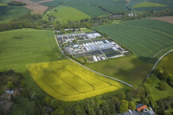 Aerial view, container nursery and perennials Kunz, Leubeck, Heiligenhaus, Ruhr area, North Rhine-Westphalia, Germany, nursery, DE, Europe, aerial view, aerial photography, aerial photography, overview, bird's-eye view, overview
