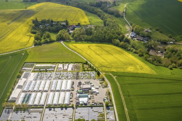 Aerial view, container nursery and perennials Kunz, Leubeck, Heiligenhaus, Ruhr area, North Rhine-Westphalia, Germany, nursery, DE, Europe, aerial view, aerial photography, aerial photography, overview, bird's-eye view, overview