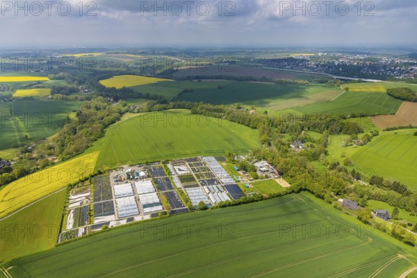 Aerial view, container nursery and perennials Kunz, Leubeck, Heiligenhaus, Ruhr area, North Rhine-Westphalia, Germany, nursery, DE, Europe, aerial view, aerial photography, aerial photography, overview, bird's-eye view, overview