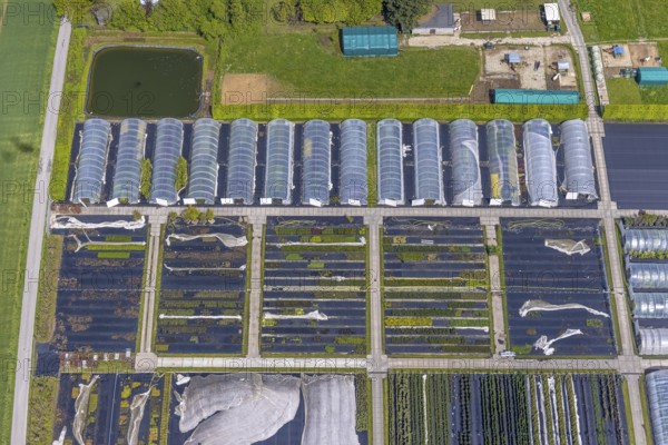 Aerial view, container nursery and perennials Kunz, Leubeck, Heiligenhaus, Ruhr area, North Rhine-Westphalia, Germany, nursery, DE, Europe, aerial view, aerial photography, aerial photography, overview, birds-eyes view, overview, greenhouse, greenhouses