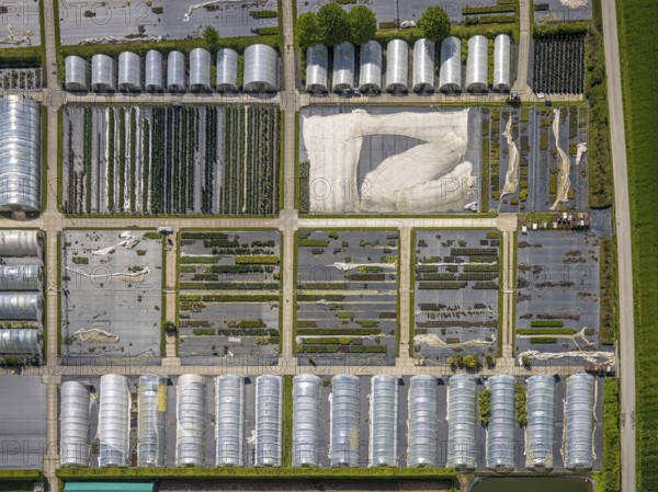 Aerial view, container nursery and perennials Kunz, Leubeck, Heiligenhaus, Ruhr area, North Rhine-Westphalia, Germany, nursery, DE, Europe, aerial view, aerial photography, aerial photography, overview, birds-eyes view, overview, greenhouse, greenhouses