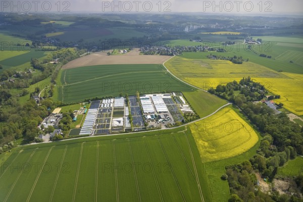 Aerial view, container nursery and perennials Kunz, Leubeck, Heiligenhaus, Ruhr area, North Rhine-Westphalia, Germany, nursery, DE, Europe, aerial view, aerial photography, aerial photography, overview, bird's-eye view, overview