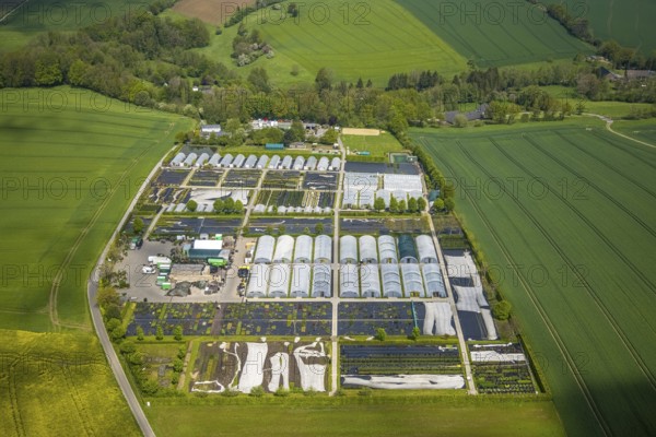 Aerial view, container nursery and perennials Kunz, Leubeck, Heiligenhaus, Ruhr area, North Rhine-Westphalia, Germany, nursery, DE, Europe, aerial view, aerial photography, aerial photography, overview, bird's-eye view, overview