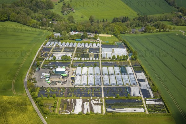 Aerial view, container nursery and perennials Kunz, Leubeck, Heiligenhaus, Ruhr area, North Rhine-Westphalia, Germany, nursery, DE, Europe, aerial view, aerial photography, aerial photography, overview, bird's-eye view, overview