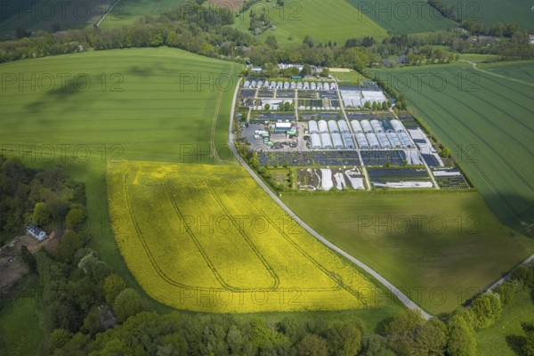 Aerial view, container nursery and perennials Kunz, Leubeck, Heiligenhaus, Ruhr area, North Rhine-Westphalia, Germany, nursery, DE, Europe, aerial view, aerial photography, aerial photography, overview, bird's-eye view, overview
