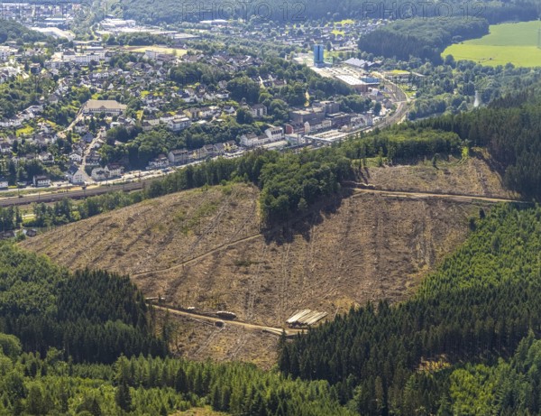 Aerial view, forest area with forest damage at Habbecker Berg, Frielentrop, Finnentrop, Sauerland, North Rhine-Westphalia, Germany, tree dieback, bark beetle damage, bark beetle plague, DE, Europe, clear cutting, aerial view, aerial photography, aerial photography, overview, bird's-eye view, forest, forest area, forest damage, forest dieback, birds-eyes view, overview
