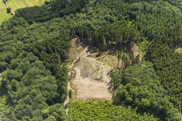 Aerial view, forest area with forest damage at Habbecker Berg, Frielentrop, Finnentrop, Sauerland, North Rhine-Westphalia, Germany, tree dieback, bark beetle damage, bark beetle plague, DE, Europe, clear cutting, aerial view, aerial photography, aerial photography, overview, bird's-eye view, forest, forest area, forest damage, forest dieback, birds-eyes view, overview
