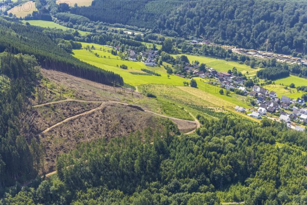 Aerial view, forest area with forest damage, Rönkhausen, Finnentrop, Sauerland, North Rhine-Westphalia, Germany, tree death, bark beetle damage, bark beetle plague, DE, Europe, clear-cutting, aerial photography, aerial photography, aerial photography, overview, bird's eye view, forest, forest damage, forest dieback, birds-eyes view, overview