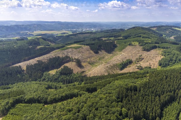 Aerial view, forest area with forest damage at Habbecker Berg, Frielentrop, Finnentrop, Sauerland, North Rhine-Westphalia, Germany, tree dieback, bark beetle damage, bark beetle plague, DE, Europe, clear cutting, aerial view, aerial photography, aerial photography, overview, bird's-eye view, forest, forest area, forest damage, forest dieback, birds-eyes view, overview