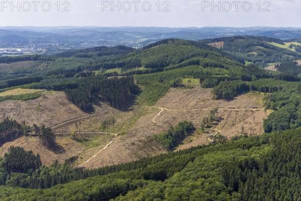 Aerial view, forest area with forest damage at Habbecker Berg, Frielentrop, Finnentrop, Sauerland, North Rhine-Westphalia, Germany, tree dieback, bark beetle damage, bark beetle plague, DE, Europe, clear cutting, aerial view, aerial photography, aerial photography, overview, bird's-eye view, forest, forest area, forest damage, forest dieback, birds-eyes view, overview