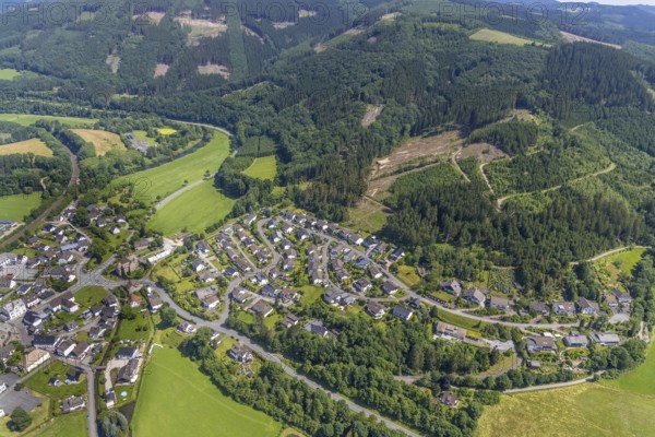 Aerial view, forest area with forest damage Am Halloh, Lenhausen, Finnentrop, Sauerland, North Rhine-Westphalia, Germany, tree dieback, bark beetle damage, bark beetle plague, DE, Europe, spruce dieback, clear-cutting, aerial view, aerial photography, aerial photography, overview, bird's-eye view, forest, forest damage, forest dieback, birds-eyes view, overview