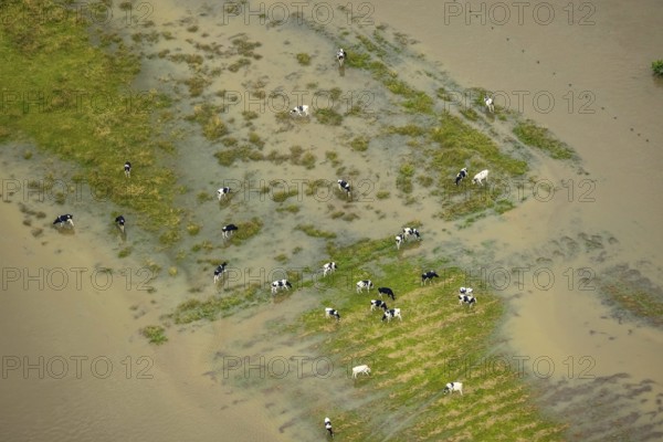 Aerial photo, Ruhr flood, Altendorf, Fröndenberg/Ruhr, Ruhr area, North Rhine-Westphalia, Germany, DE, Europe, birds-eyes view, aerial photography, aerial photography, overview, overview, bird's eye view