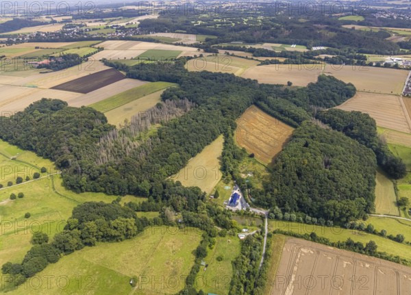 Aerial photograph, forest damage on Heideweg in the Strickherdicke district, Fröndenberg/Ruhr, Ruhr area, North Rhine-Westphalia, Germany, tree dieback, DE, Europe, clear-cutting, aerial photograph, aerial photography, aerial photography, overview, bird's-eye view, forest damage, forest dieback, birds-eyes view, overview