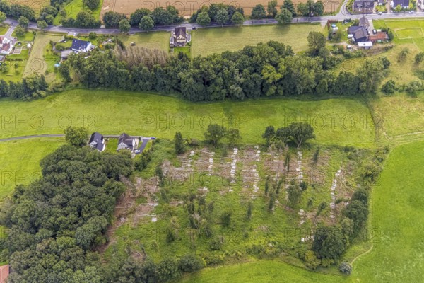 Aerial view, forest with felled trees at Holtkamp in the district Bausenhagen, Fröndenberg/Ruhr, Ruhr area, North Rhine-Westphalia, Germany, DE, Europe, clear cutting, aerial view, aerial photography, aerial photography, overview, bird's eye view, forest damage, forest damage, birds-eyes view, overview
