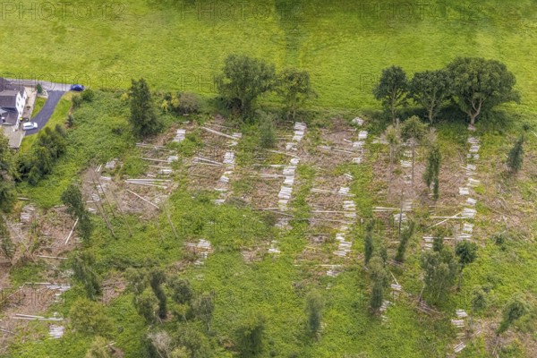 Aerial view, forest with felled trees at Holtkamp in the district Bausenhagen, Fröndenberg/Ruhr, Ruhr area, North Rhine-Westphalia, Germany, DE, Europe, clear cutting, aerial view, aerial photography, aerial photography, overview, bird's eye view, forest damage, forest damage, birds-eyes view, overview